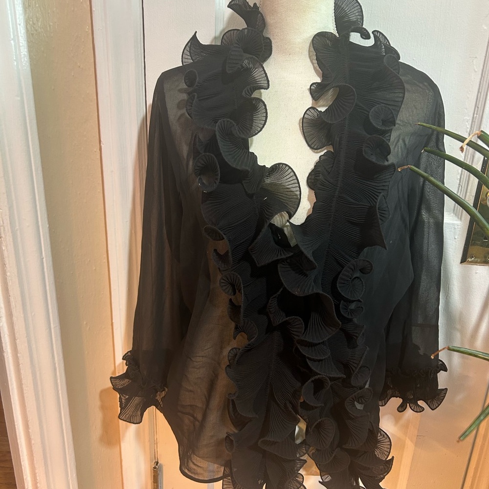 Zara Black Sheer Blouse with Ruffles